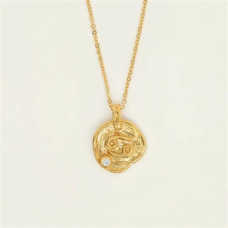 Zodiac Sign Coin Pendant Necklace high quality